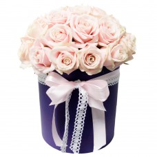 Коробка 25 розовых роз